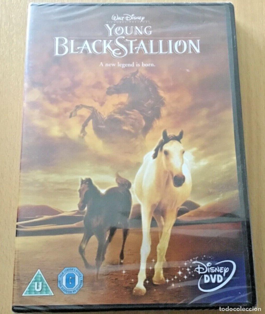 Cine: dvd Disney Shetan, el caballo del desierto (Young Black Stallion, 2003) - en espa&ntilde;ol