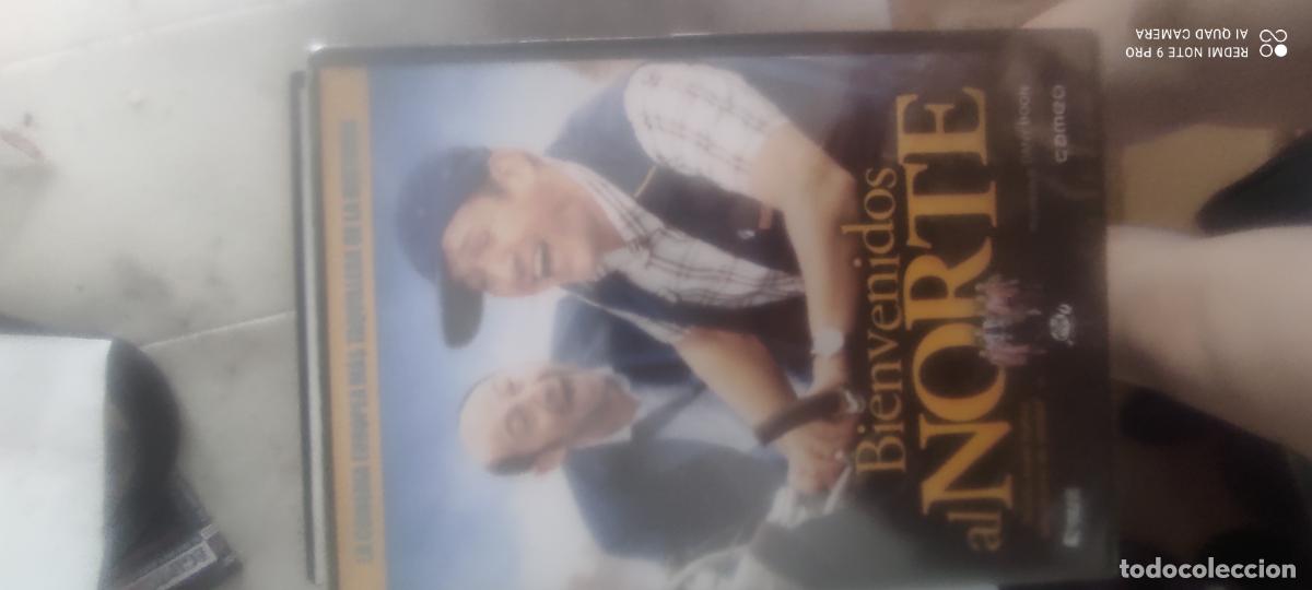 Cine: Bienvenidos al norte. Pel&iacute;cula / DVD.