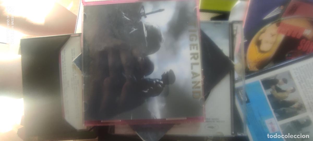 Cine: Tigerland. Pel&iacute;cula / DVD.