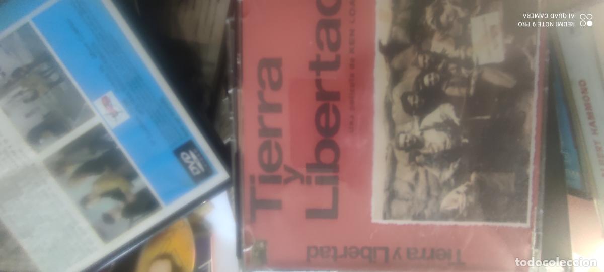 Cine: Tierra y libertad. Pel&iacute;cula / DVD.