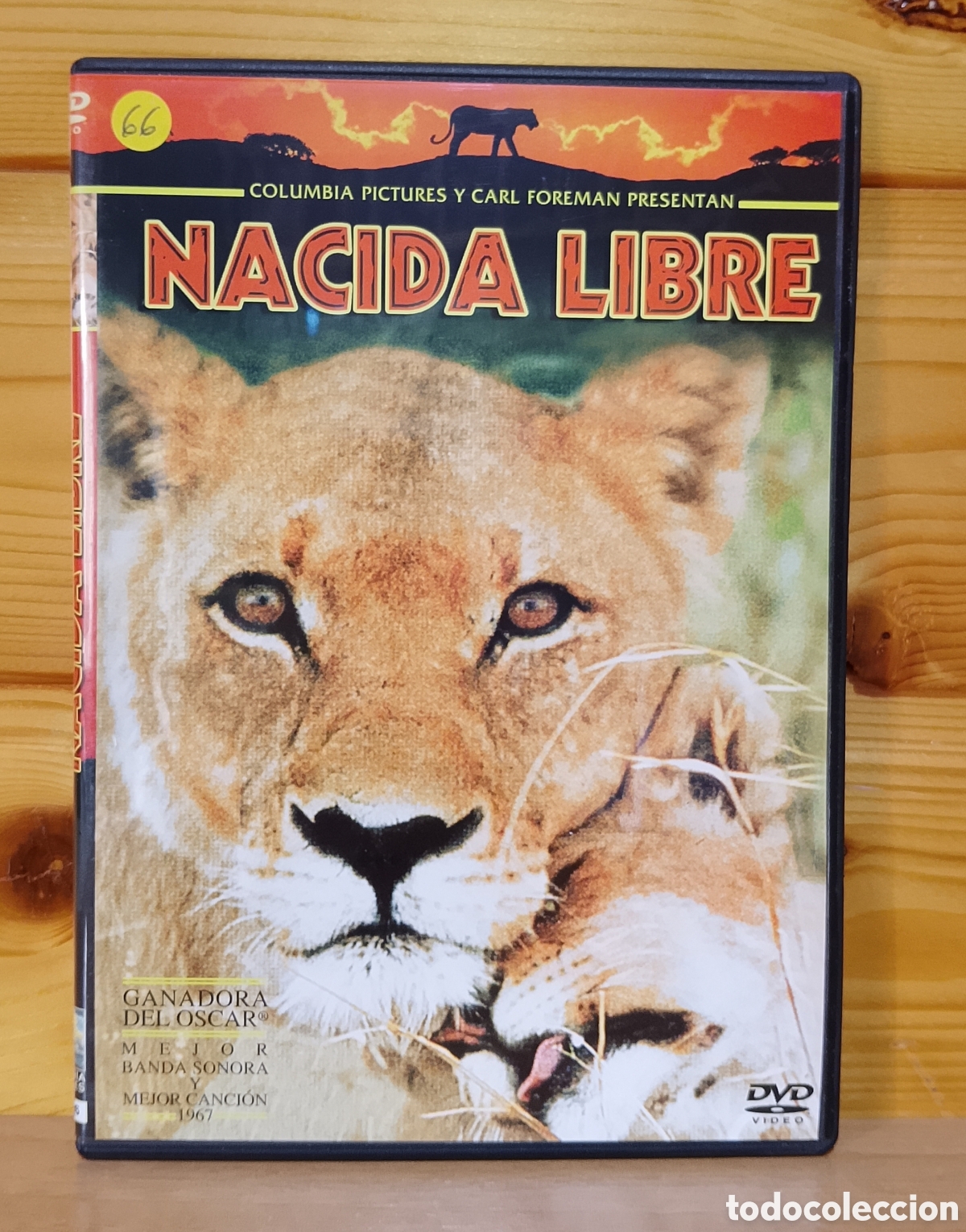 Cine: DVD Nacida Libre Una Leona llamada Elsa