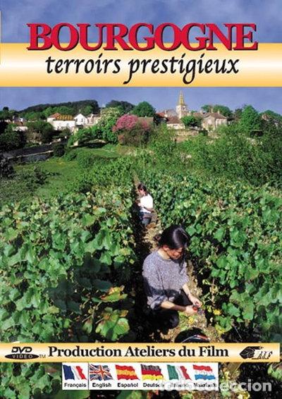Cine: Bourgogne: Terroirs prestigieux- 3545020007495