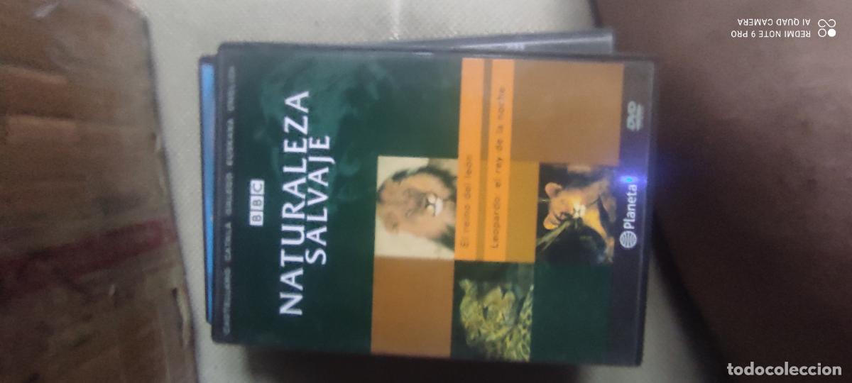 Cine: Naturaleza salvaje. Pel&iacute;cula / DVD.