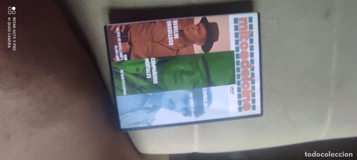 Cine: MITOS DEL CINE: REBELDE ORGULLOSO + COMPA&Ntilde;EROS MORTALES + CAMBALACHE.