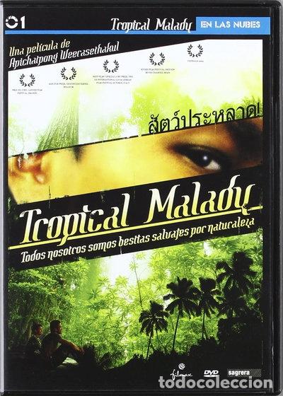 Cine: Tropical Malady- 8420018428108