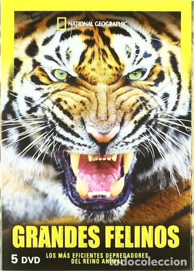 Cine: National Geographic: Grandes Felinos- 8436022299399