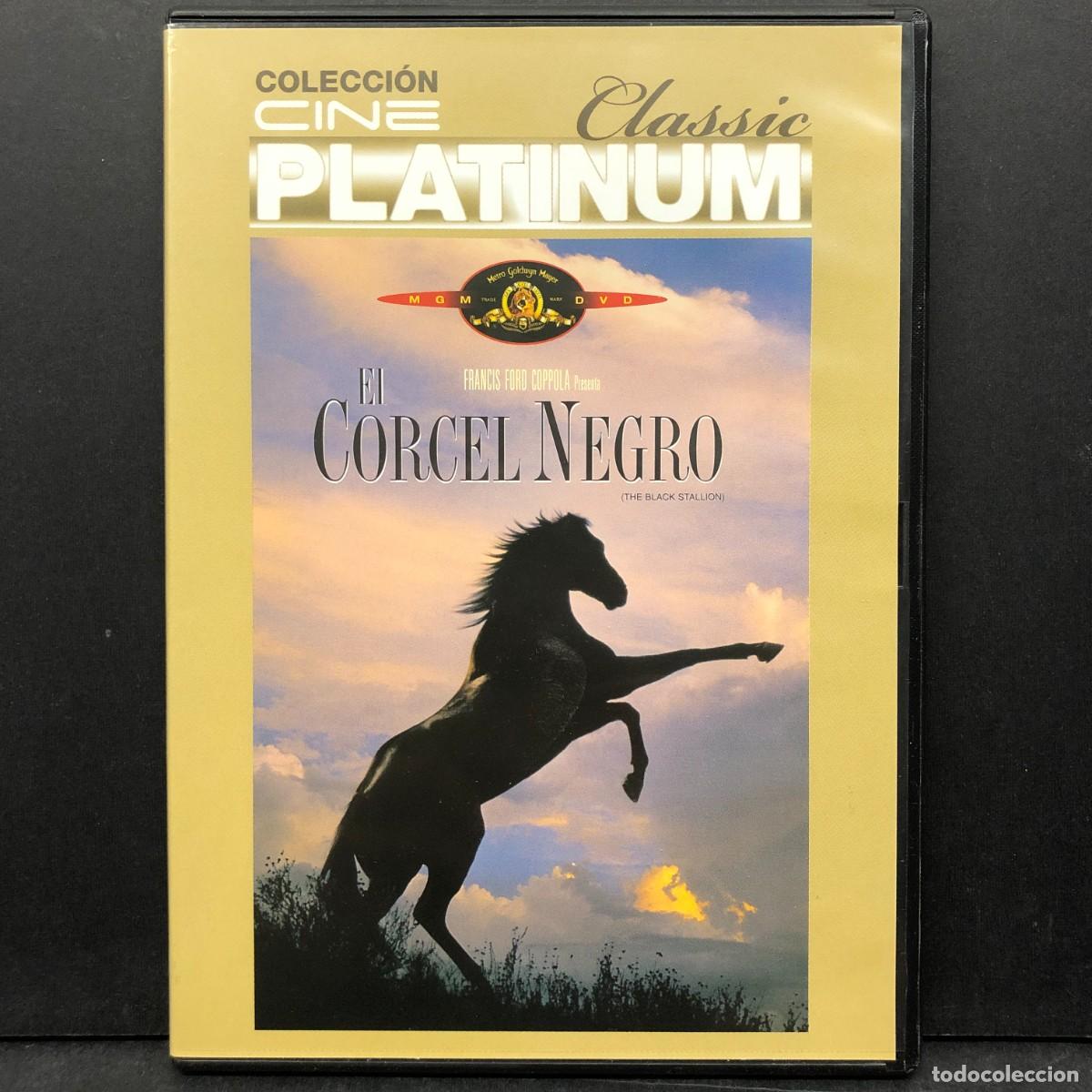 Cine: EL CORCEL NEGRO - FRANCISC FORD COPPOLA - PEL&Iacute;CULA - DVD / 6769