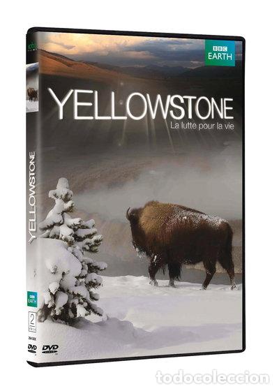 Cine: Yellowstone: La lutte pour la vie- 5051889212591