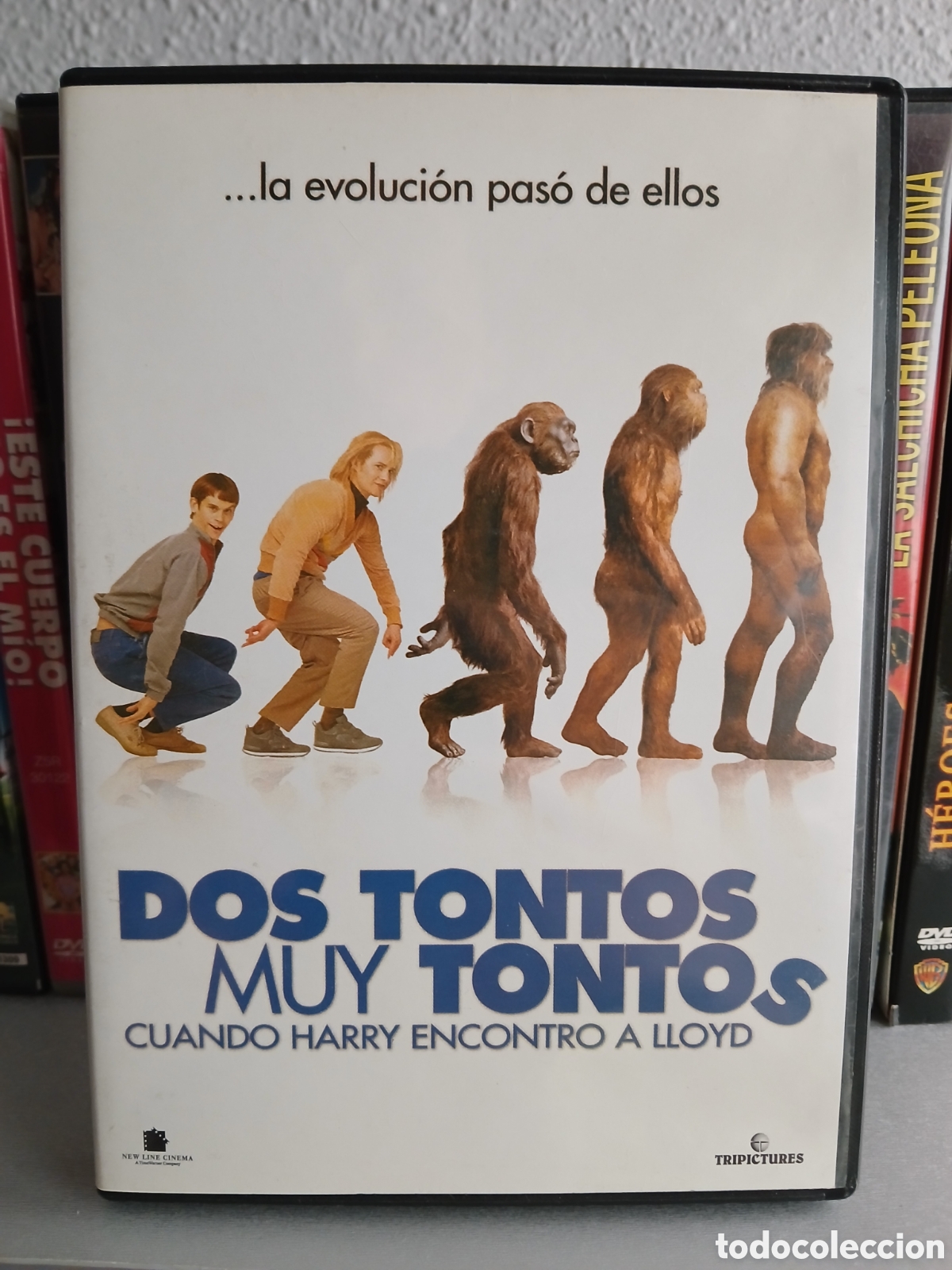 Cine: Dos Tontos muy Tontos DVD CineYVideojuegosAlMejorPrecio