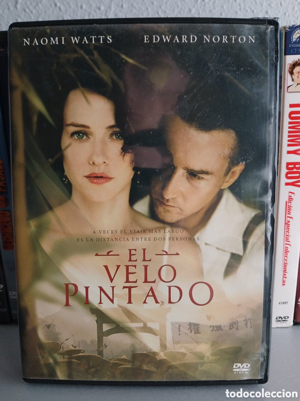 Cine: El Velo Pintado DVD CineYVideojuegosAlMejorPrecio