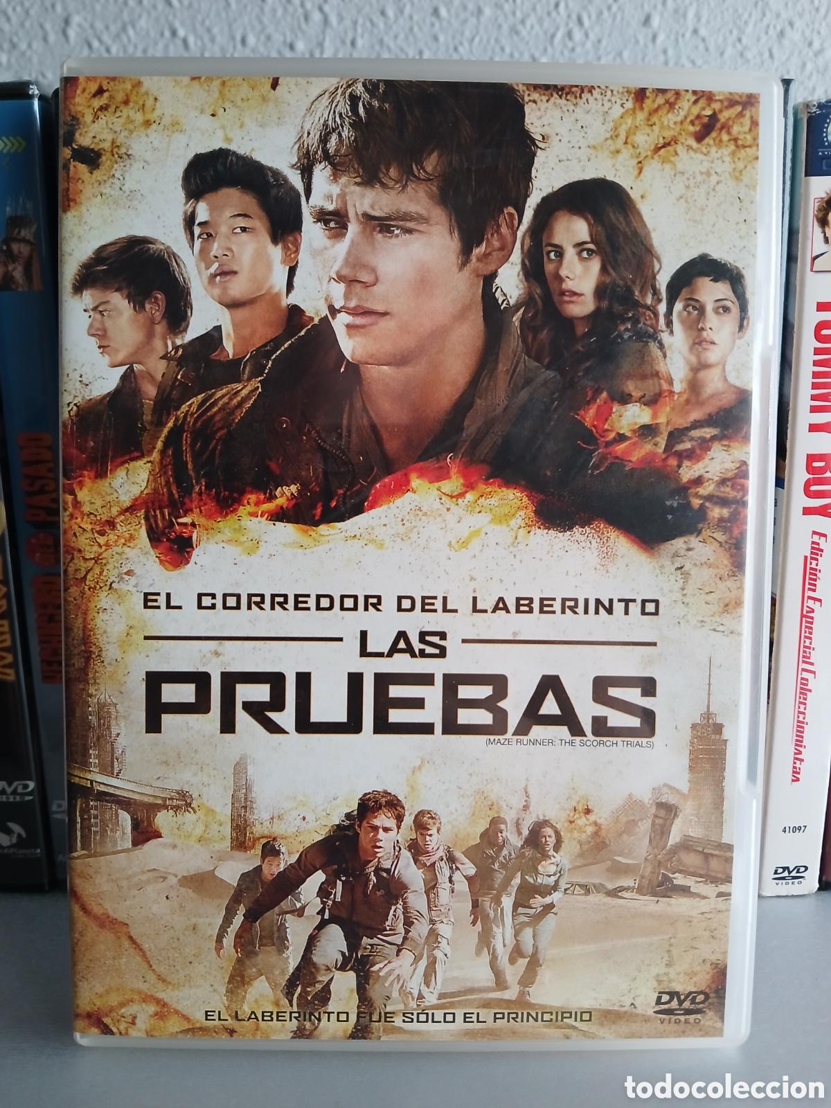 Cine: El Corredor de Laberinto Las Pruebas DVD CineYVideojuegosAlMejorPrecio
