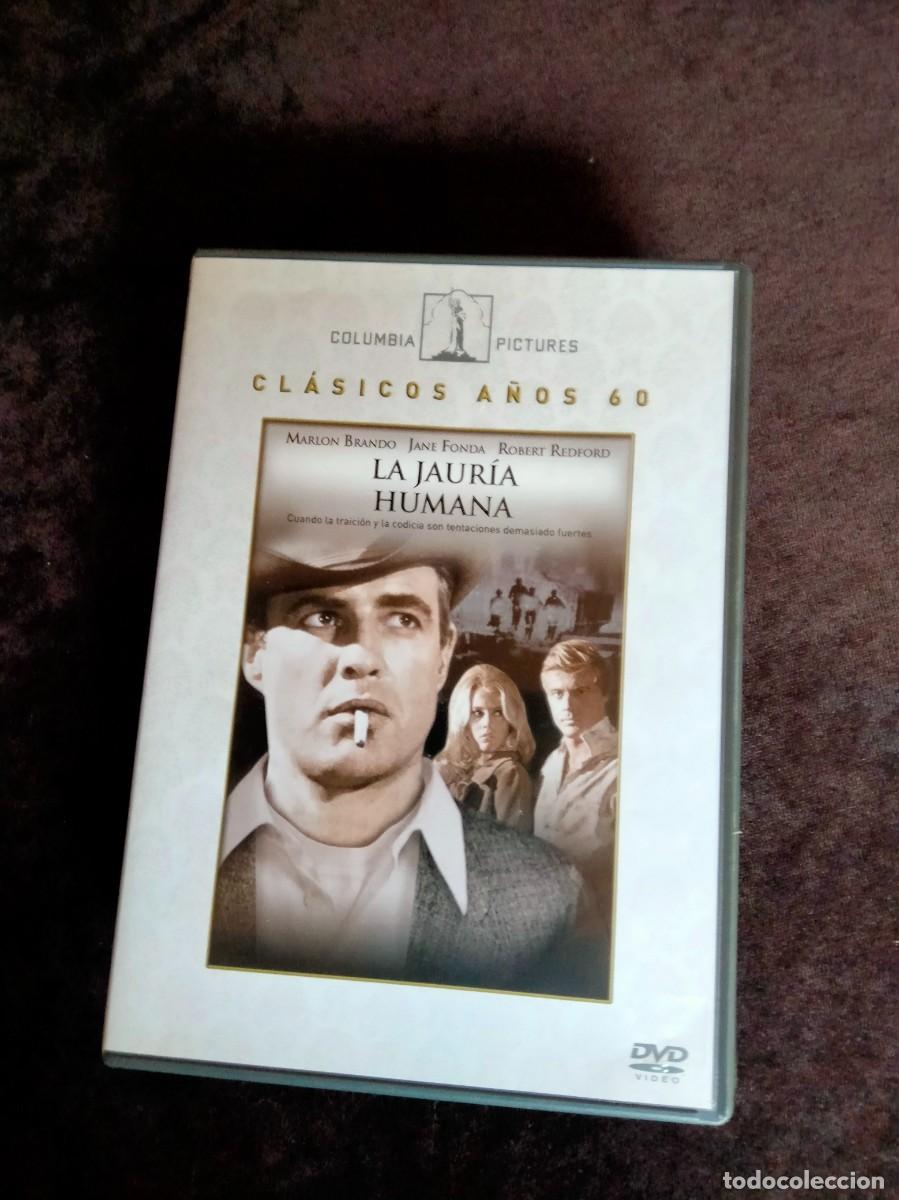 Cine: la jauria humana - marlon brando - dvd como nuevo