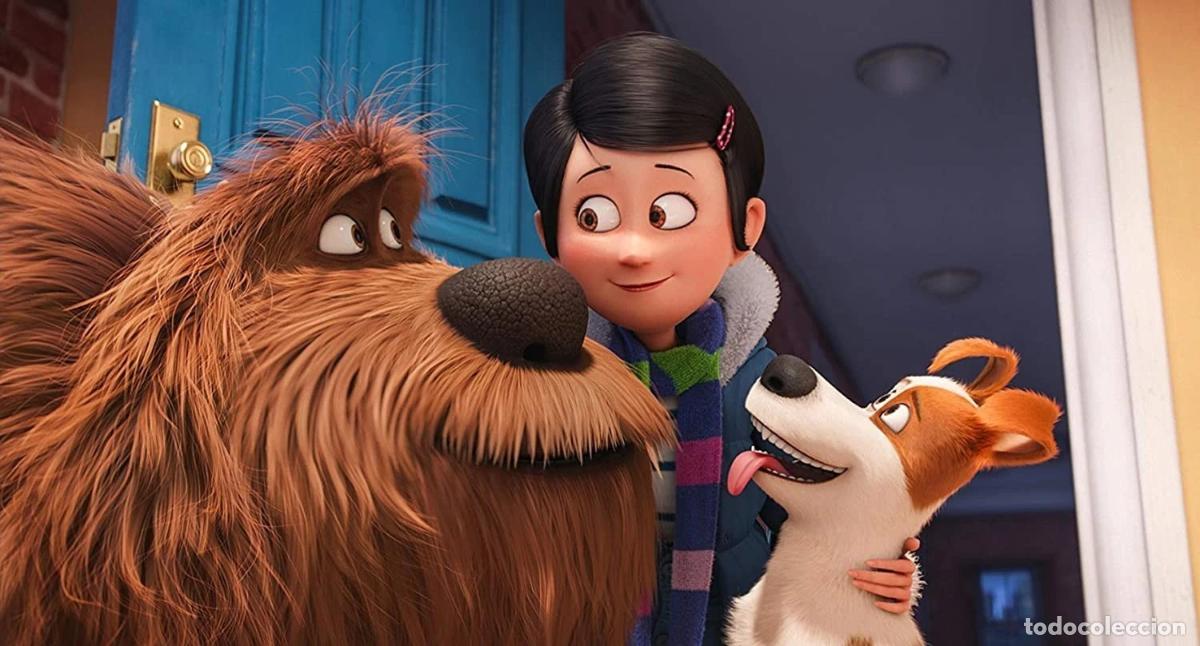Cine: Mascotas [DVD] - Foto 3