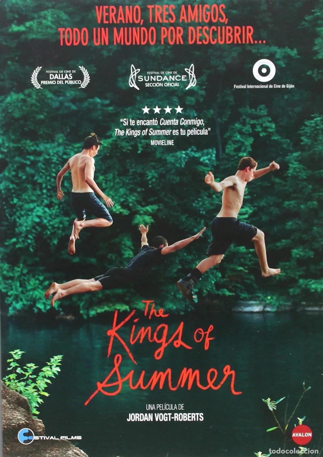 Cinema: KINGS OF SUMMER (DVD)