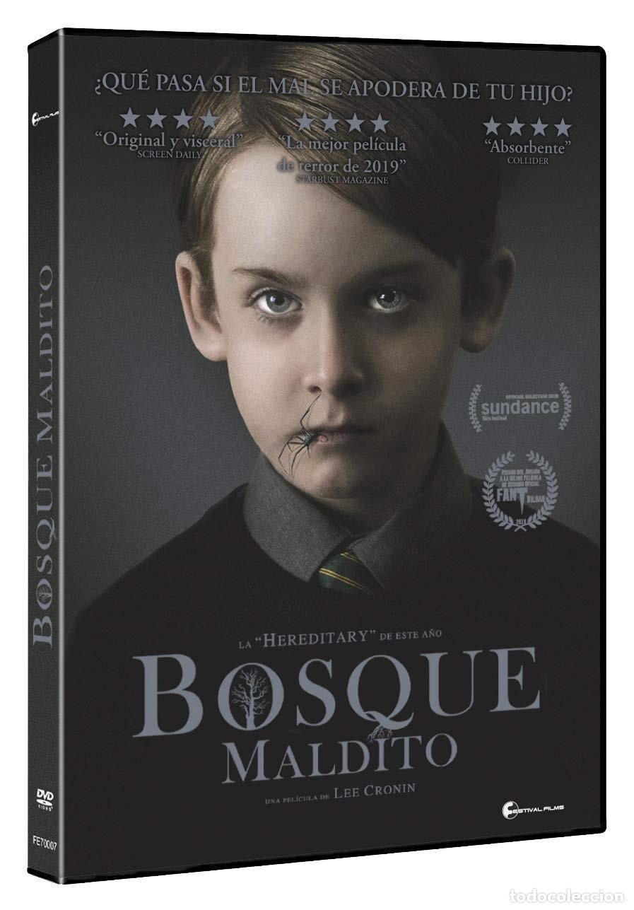 Cinema: Bosque Maldito [DVD]