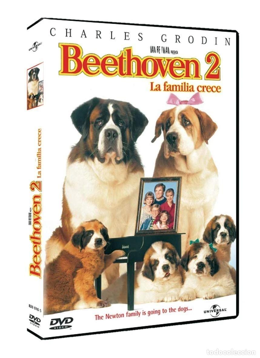 Cin&eacute;ma: BEETHOVEN 2 (DVD)