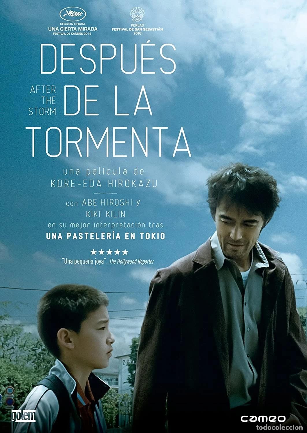 Cine: Despu&eacute;s de la tormenta [DVD]