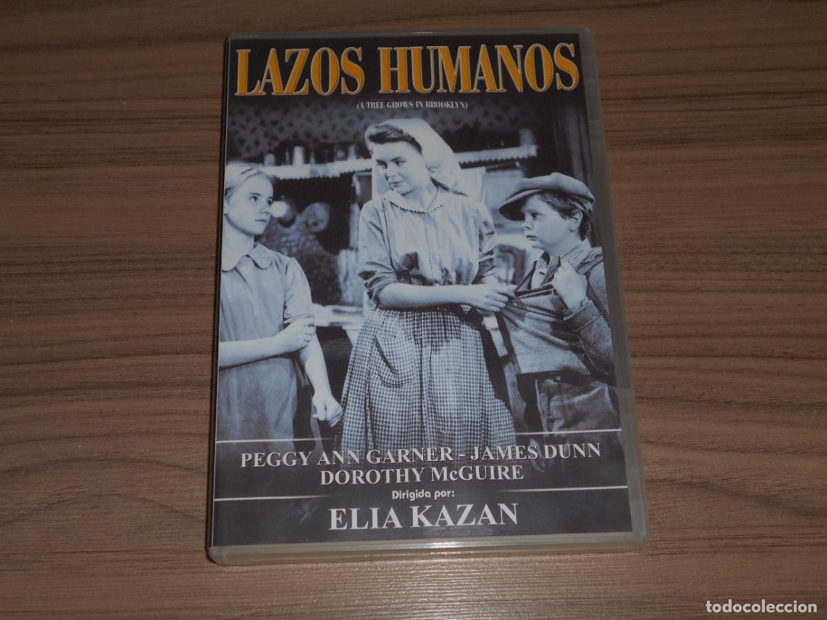 Cine: LAZOS HUMANOS DVD de ELIA KAZAN Dorothy McGuire COMO NUEVA