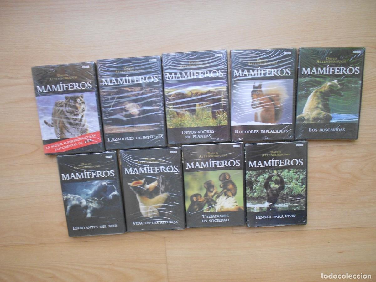 Cine: MAMIFEROS : DAVID ATTENBOROUGH - COLECCION casi COMPLETA 9 DVDs ( solo falat 1 ) DOCUMENTALES - 1&euro;y+