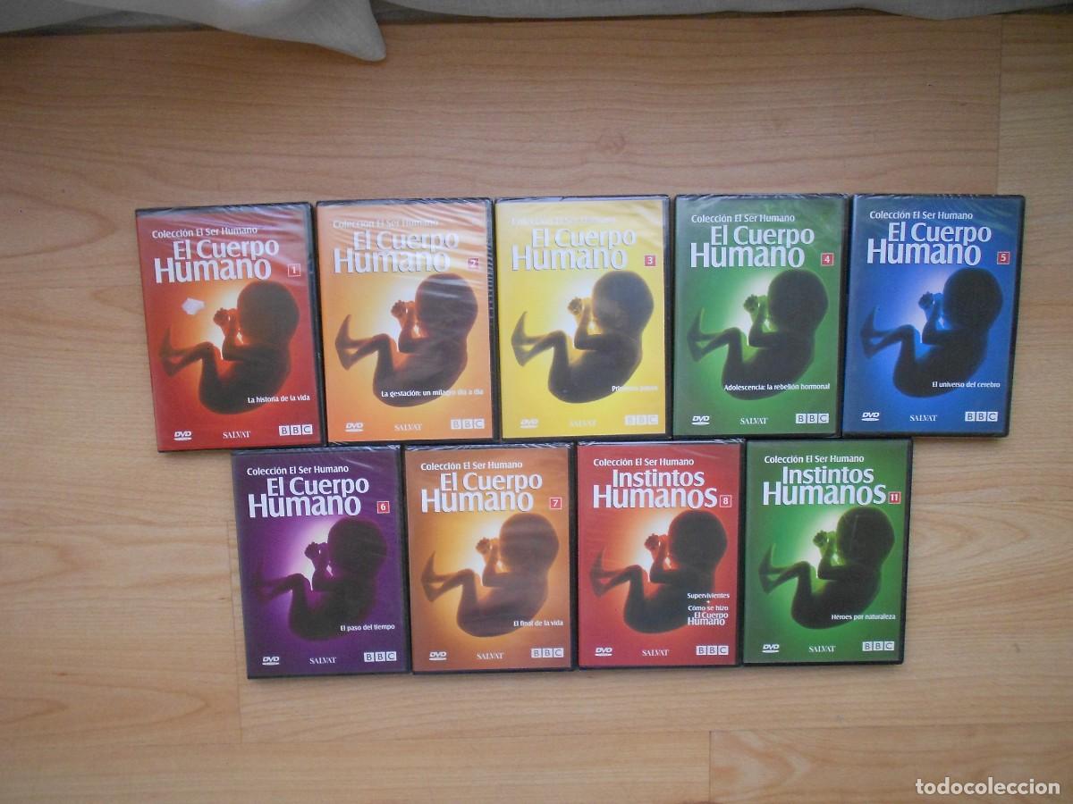 Cinema: EL CUERPO HUMANO - COLECCION casi COMPLETA 9 DVDs ( solo falan 2 ) DOCUMENTALES - 1&euro;y+