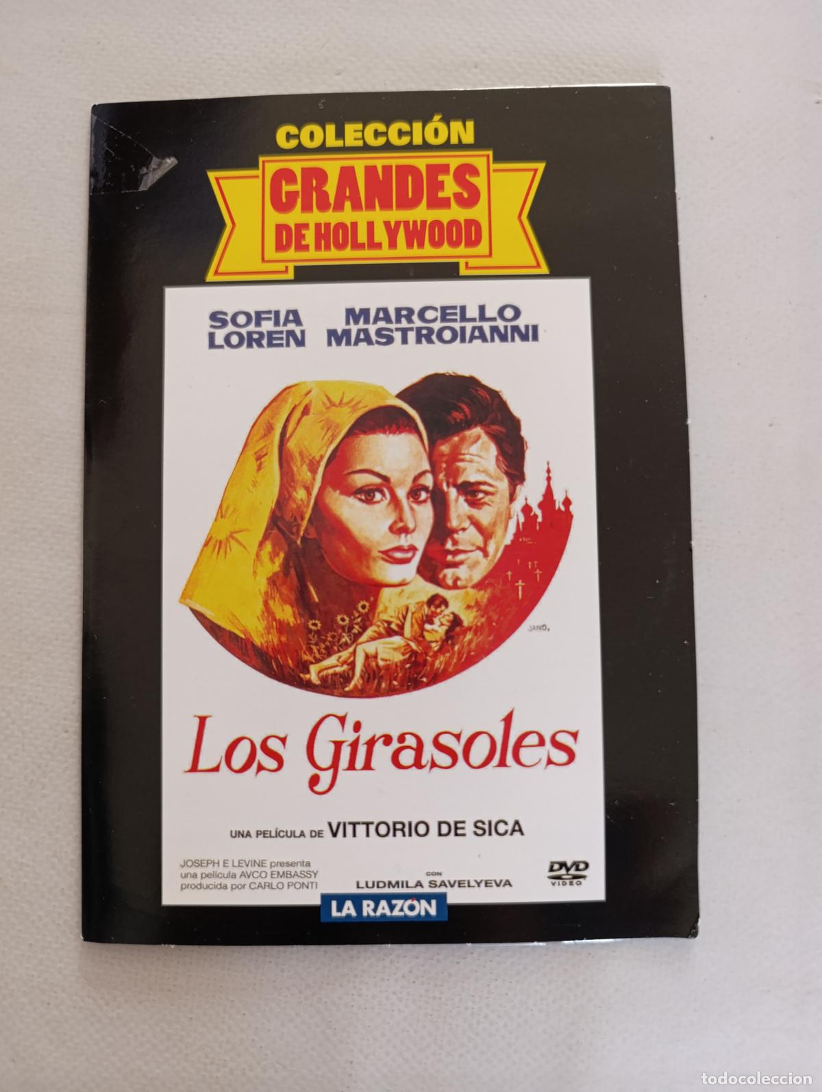 Cine: DVD LOS GIRASOLES - SOFIA LOREN, MARCELLO MASTROIANNI - FUNDA FINA CARTON (R8)