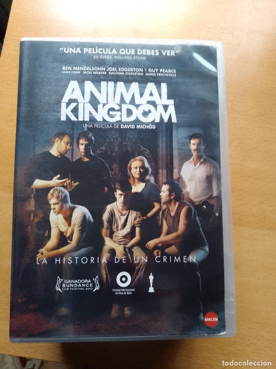 Cine: Animal Kingdom- David Michod dvd