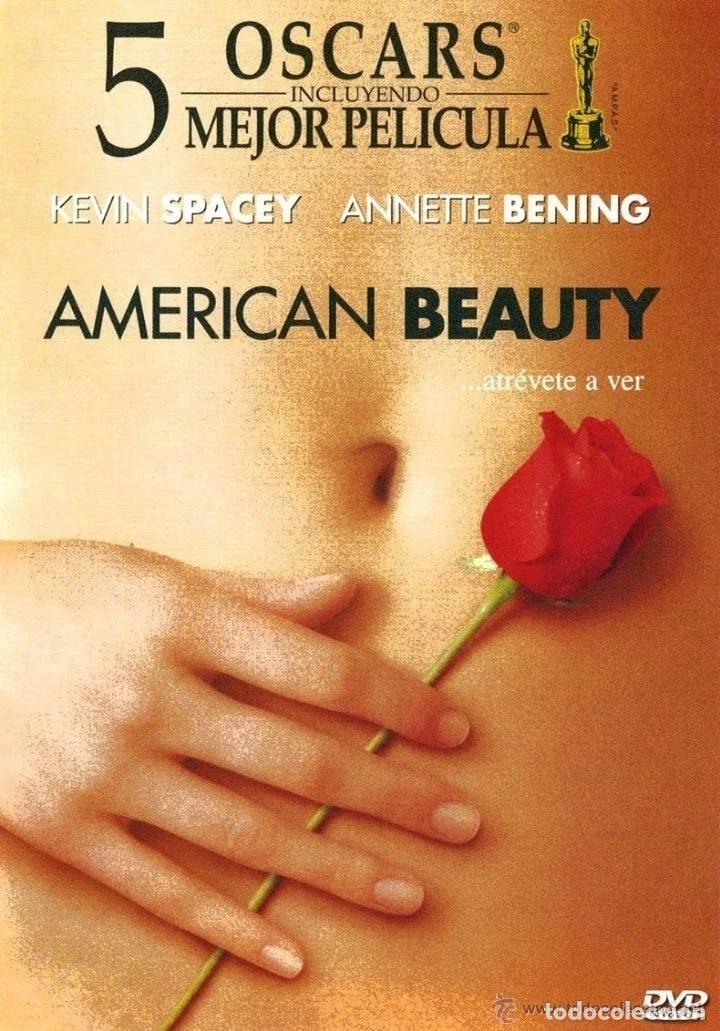 Kino: AMERICAN BEAUTY DVD [DVD]