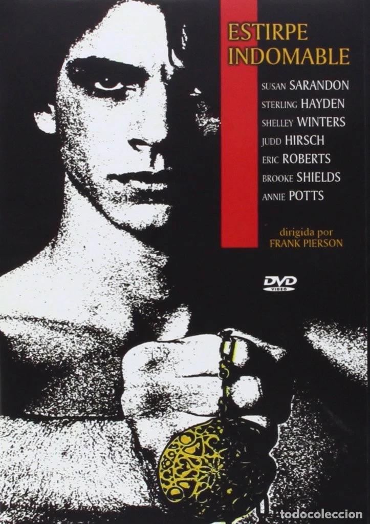 Cinema: Estirpe Indomable [DVD] (1978) King of the Gypsies