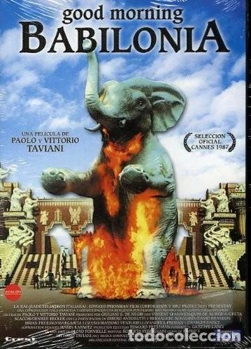Cinema: Good morning Babilonia&nbsp;(Spagna) [DVD]