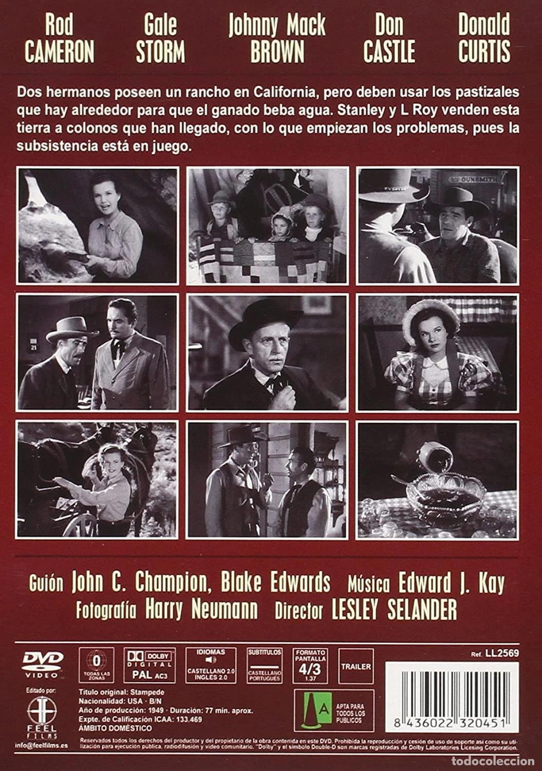 Cine: ESTAMPIDA (DVD) - Foto 2