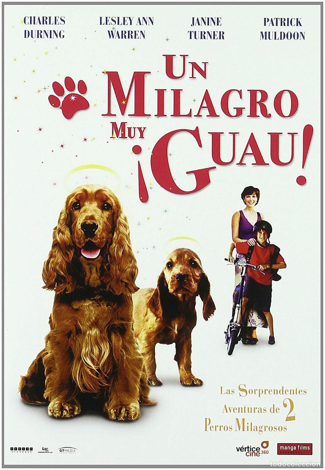 Cinema: Un Milagro muy &iexcl;Guau! [DVD] (2006) Miracle Dogs Too