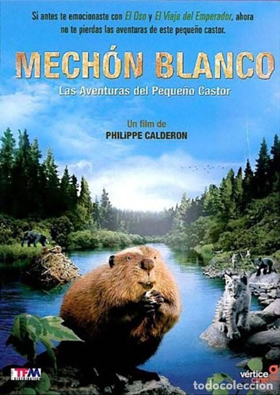 Cinema: Mech&oacute;n Blanco: Las Aventuras Del Peque&ntilde;o Castor [DVD] (2008) M&egrave;che Blanche: les aventures du petit c