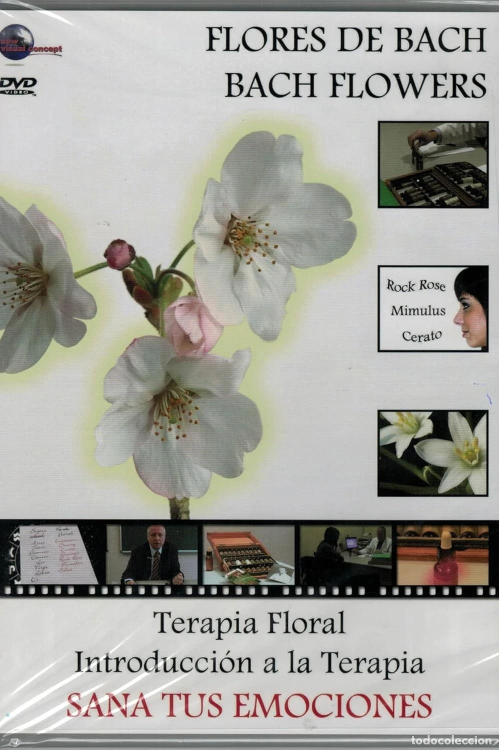Cine: Terapia Floral - Introducci&oacute;n a la Terapia Sana Tus Emociones Dvd [DVD]