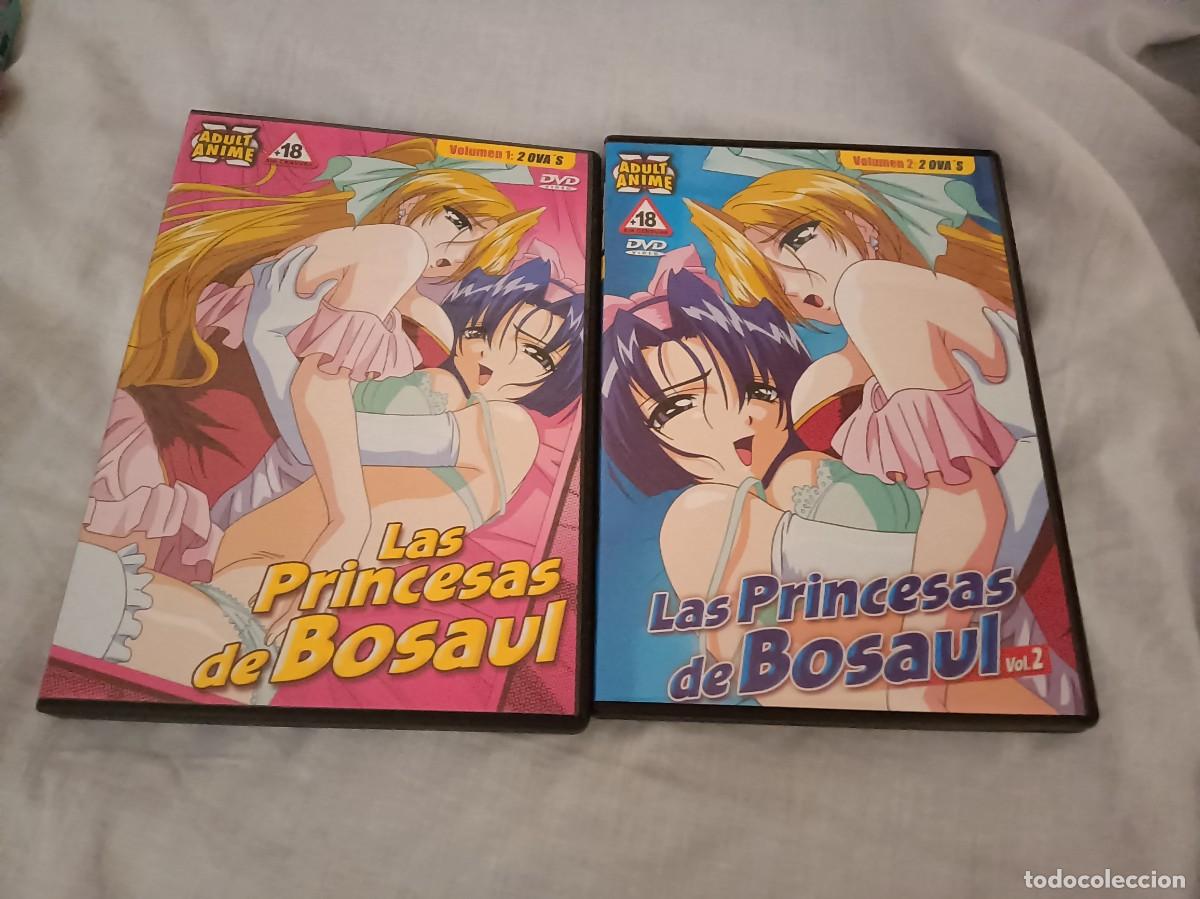 Cine: 2 DVD Anime Hentai Las Princesas de Bosaul Serie Completa