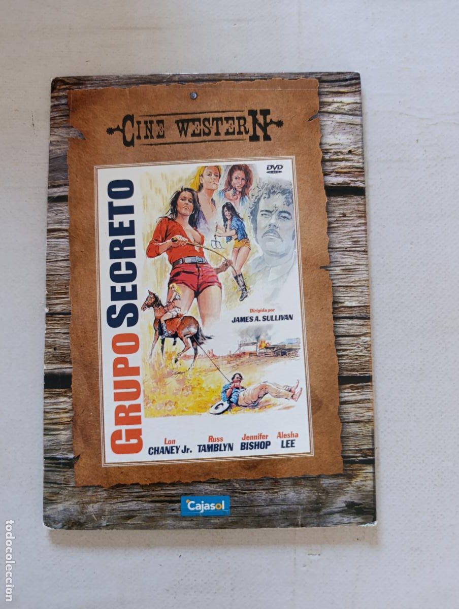 Cine: DVD GRUPO SECRETO - FUNDA FINA CARTON (P9)