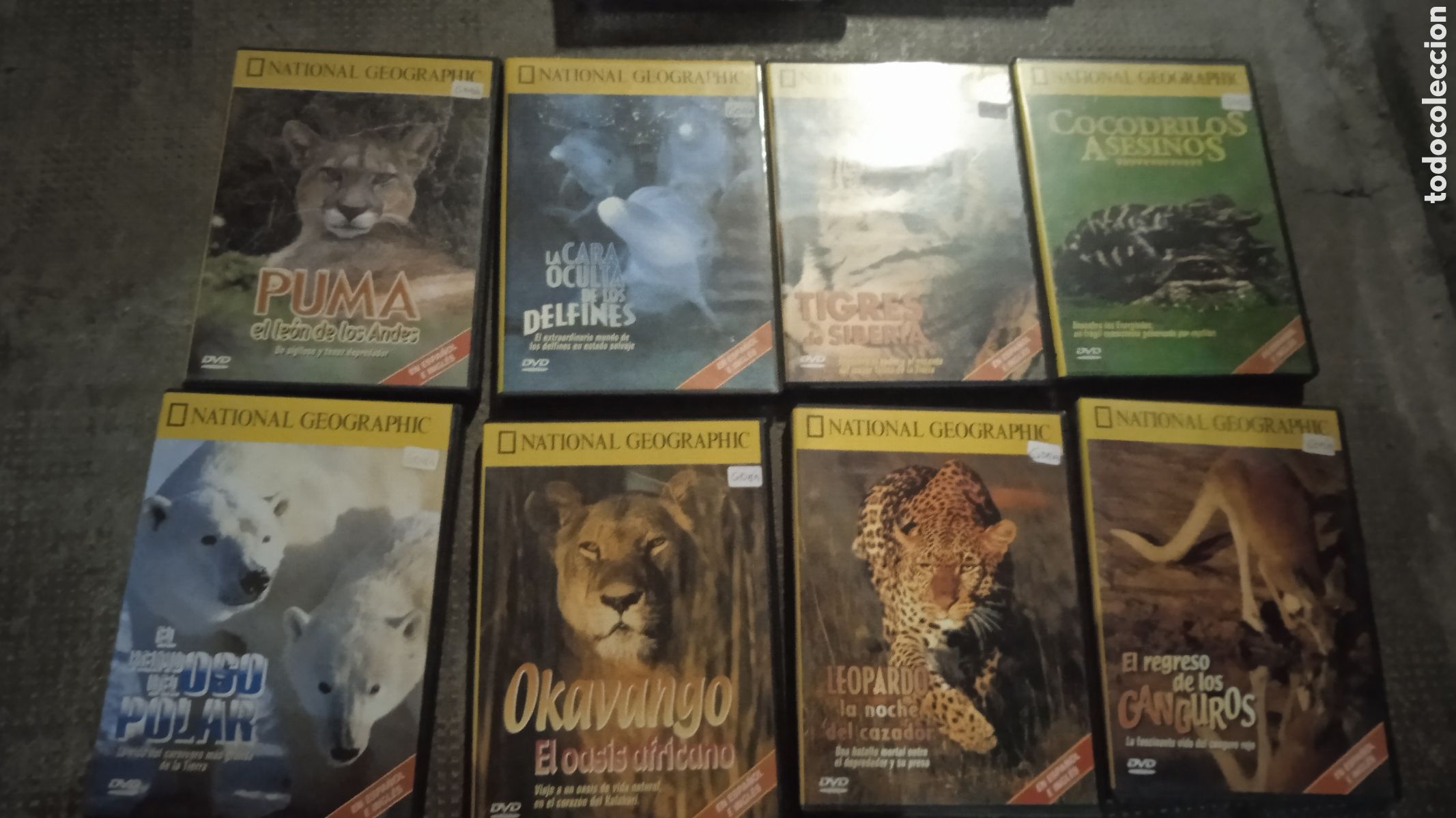 Kino: LOTE 8 DVD NATIONAL GEOGRAPHIC &ndash; DOCUMENTALES ANIMALES Y NATURALEZA &ndash; COLECCI&Oacute;N