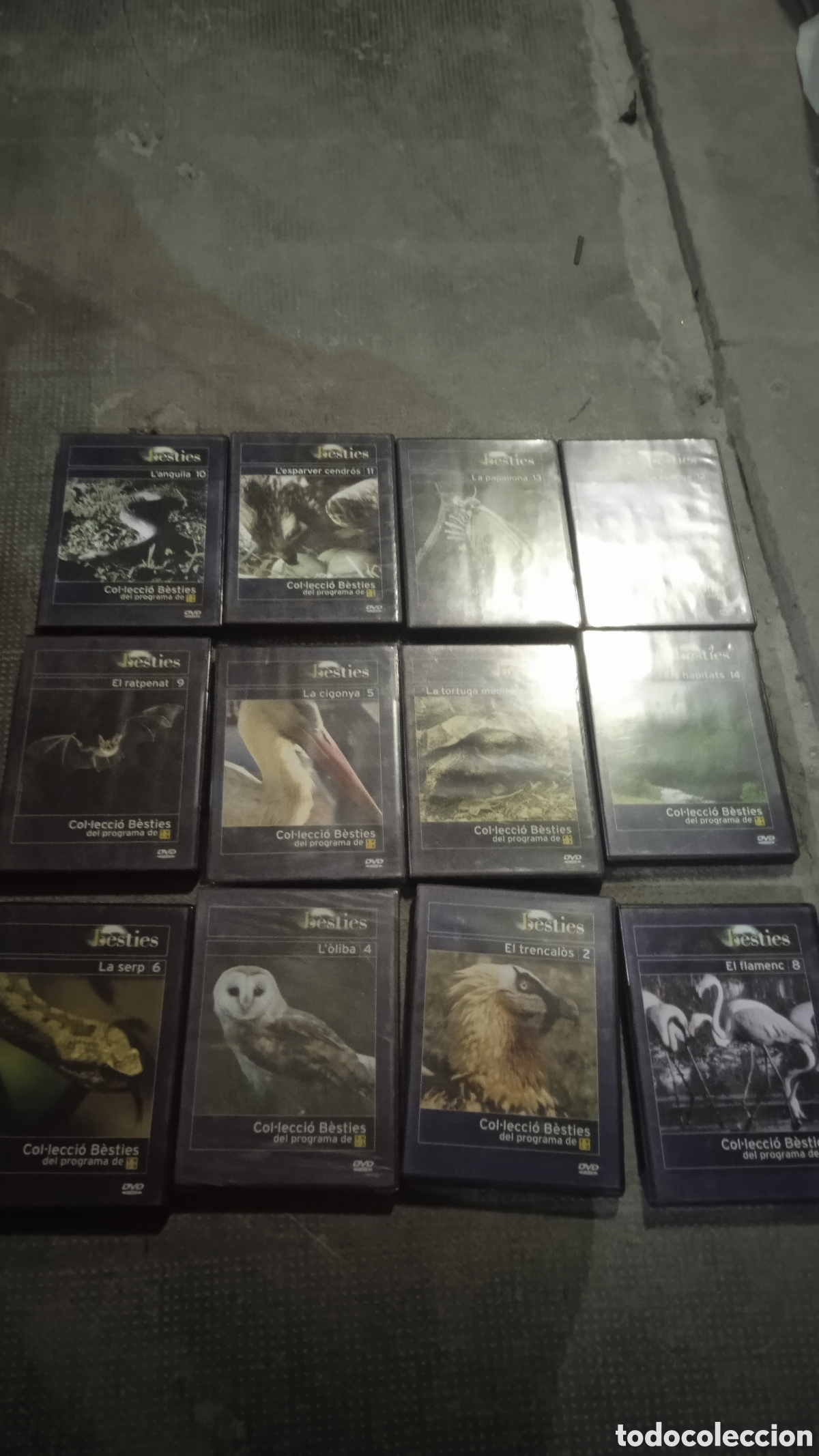 Cine: T&iacute;tulo para el anuncio Lote 12 DVD COLECCI&Oacute;N B&Egrave;STIES &ndash; Programa de TV3 &ndash; Fauna y naturaleza de Cata