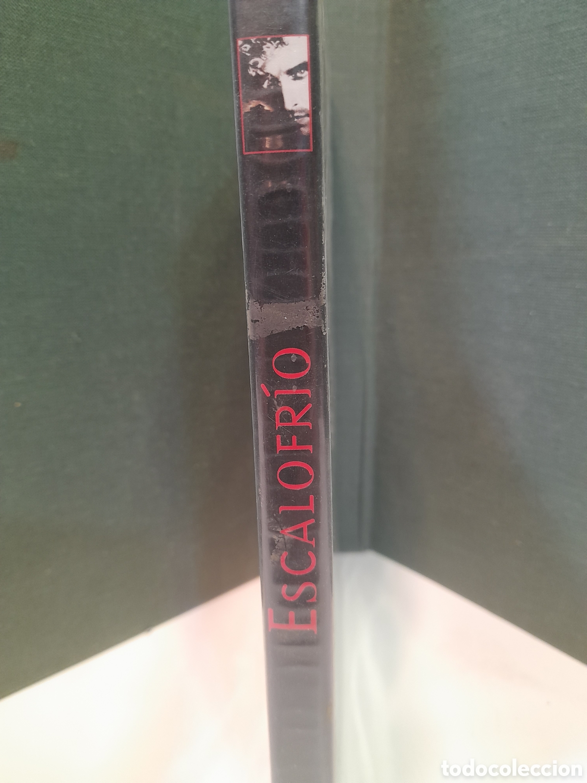 Cine: DVD Escalofr&iacute;o (Matthew McConaughey)