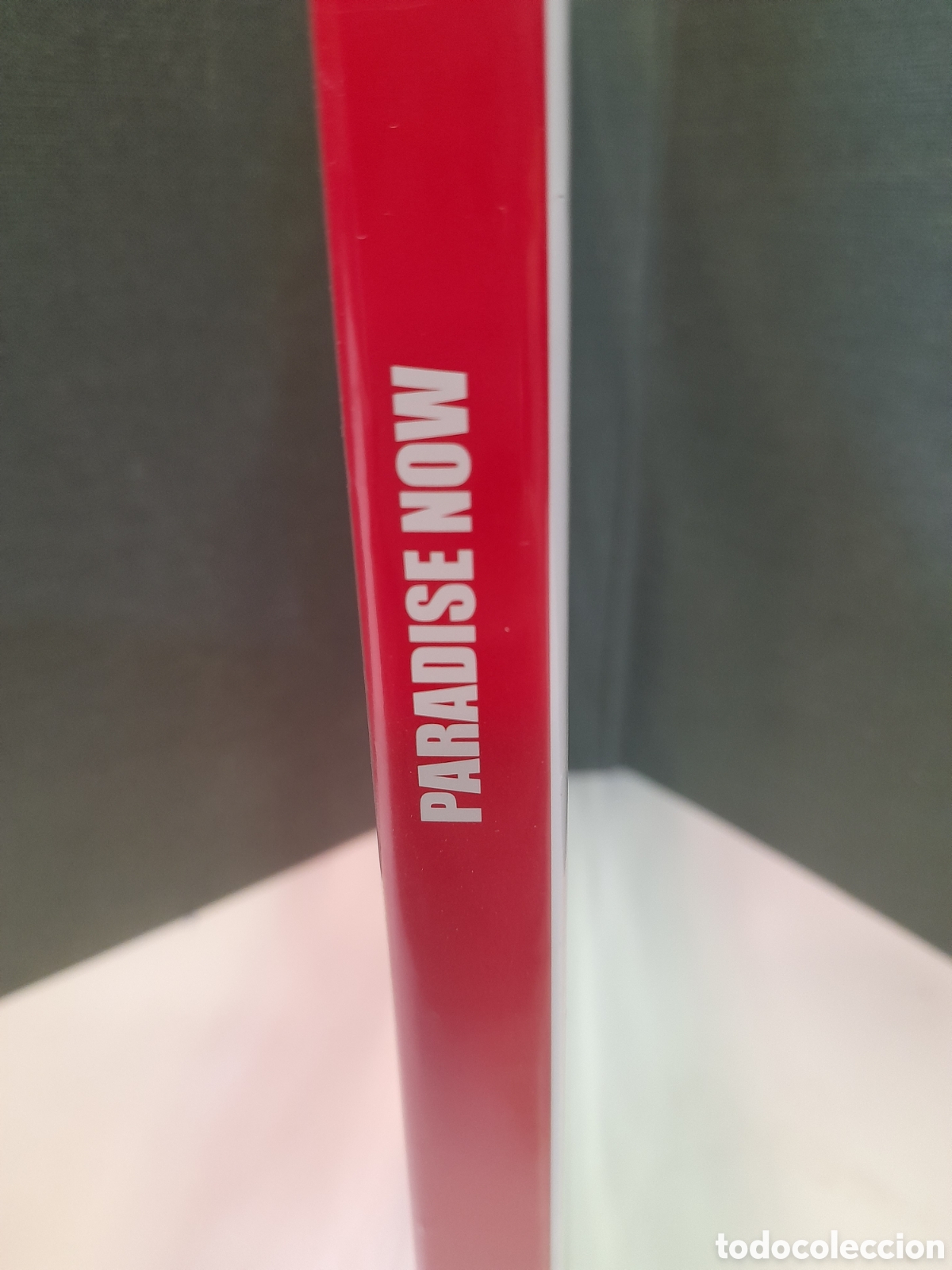 Cinema: DVD Paradise Now (P&uacute;blico)