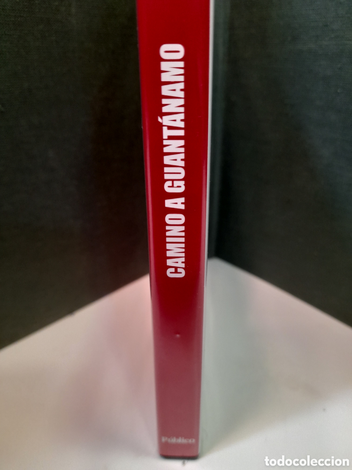 Cinema: DVD Camino a Guant&aacute;mo (P&uacute;blico)