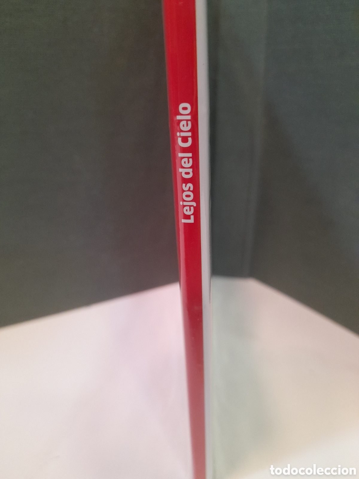 Kino: DVD Lejos del Cielo (P&uacute;blico)