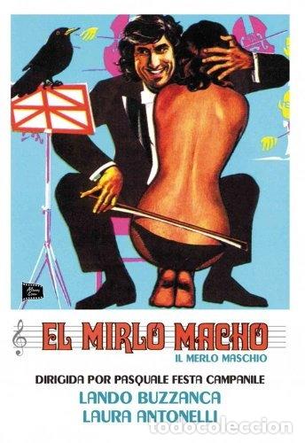 Cine: El Mirlo Macho- 8436541005563