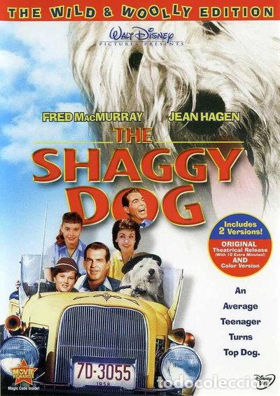 Cine: The Shaggy Dog- 0786936704419