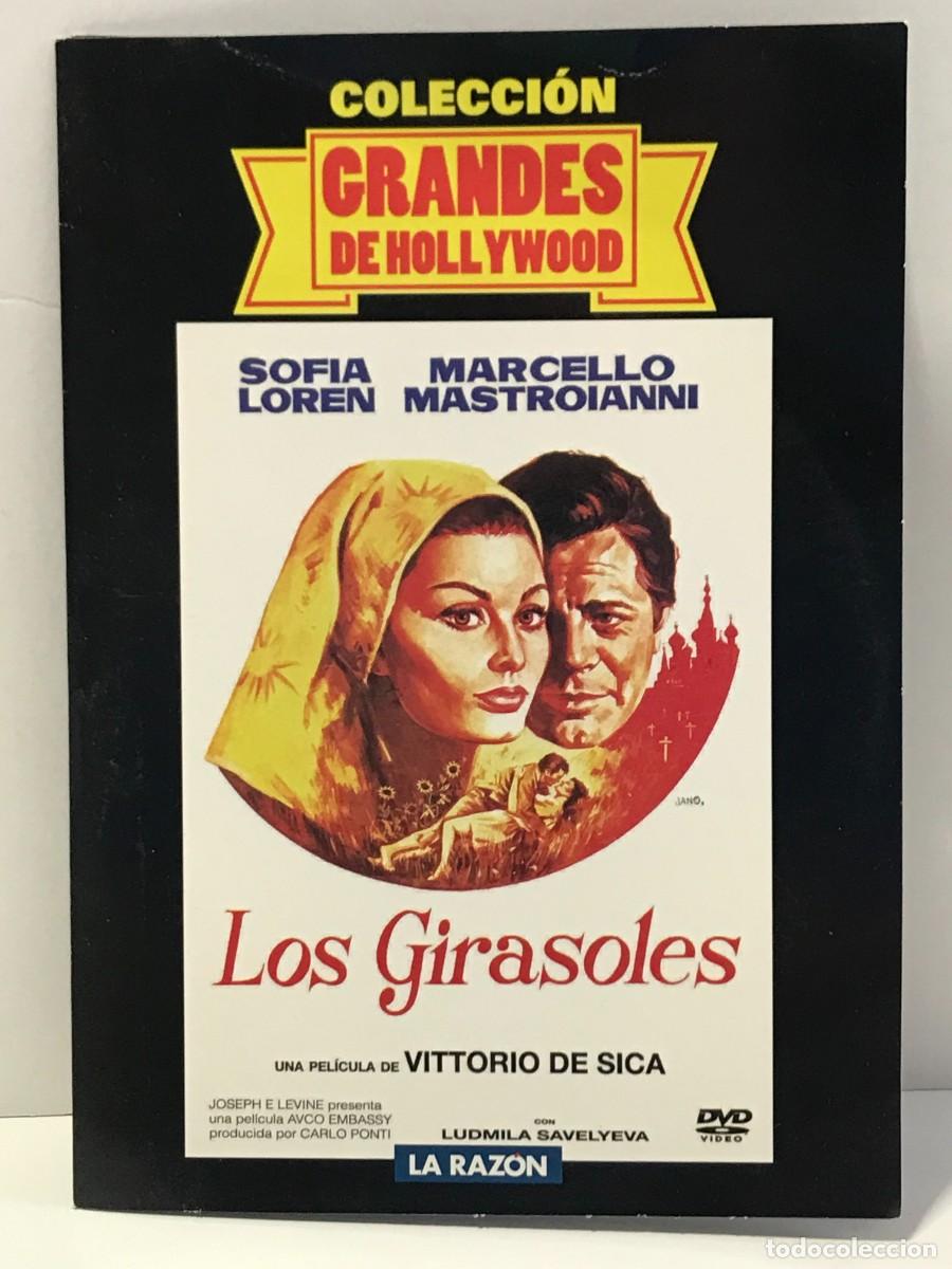 Cine: DVD CARTON, GRANDES DE HOLLYWOOD - LOS GIRASOLES
