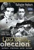 Cine: Larga jornada hacia la noche- 8431797108907