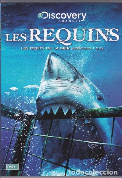 Cine: Les Requins - Volume 1- 3512391764227
