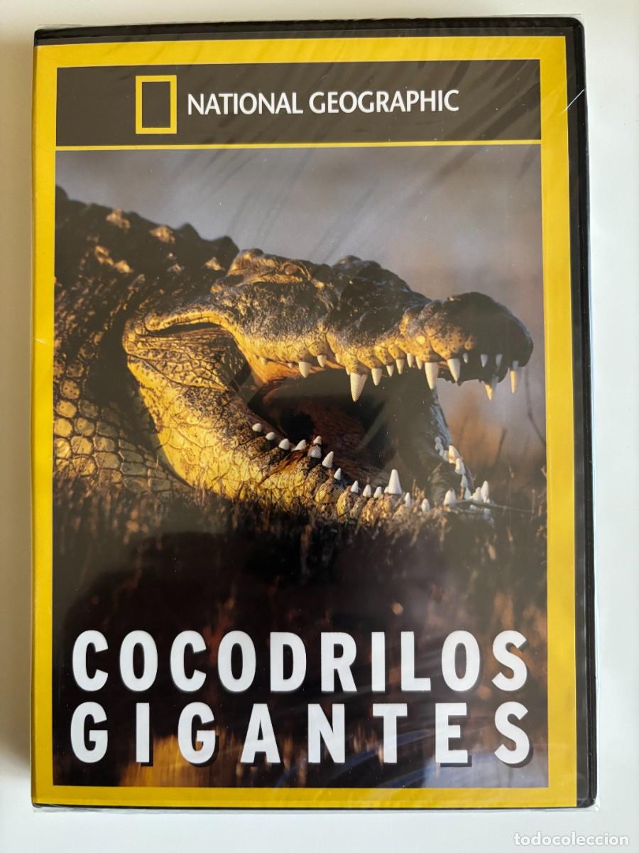 Cine: DVD NATIONAL GEOGRAFIC - COCODRILOS GIGANTES