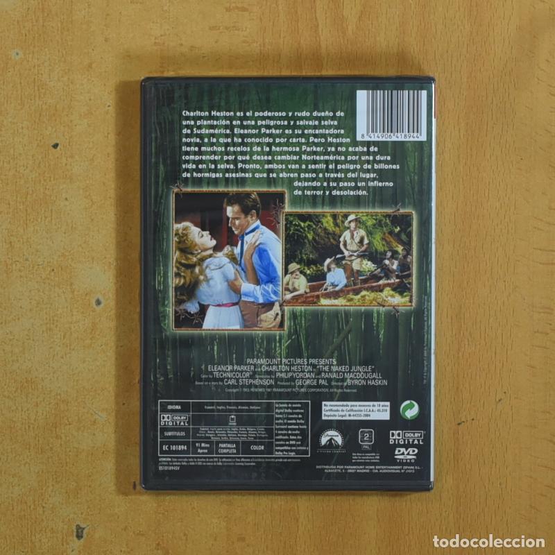 Cine: CUANDO RUGE LA MARABUNTA - DVD - Foto 2