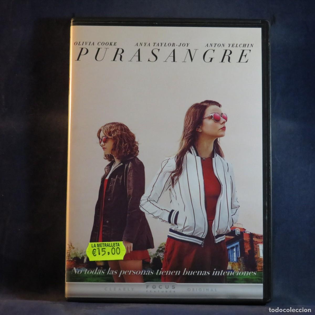 Cine: PURA SANGRE - DVD --