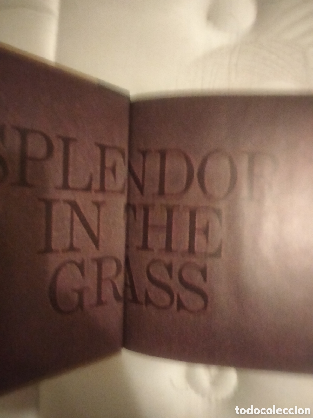 Cine: DVD Esplendor en la hierba - Foto 2